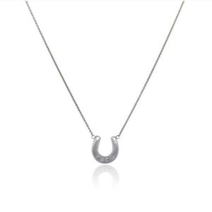 Tiffany's horseshoe necklace